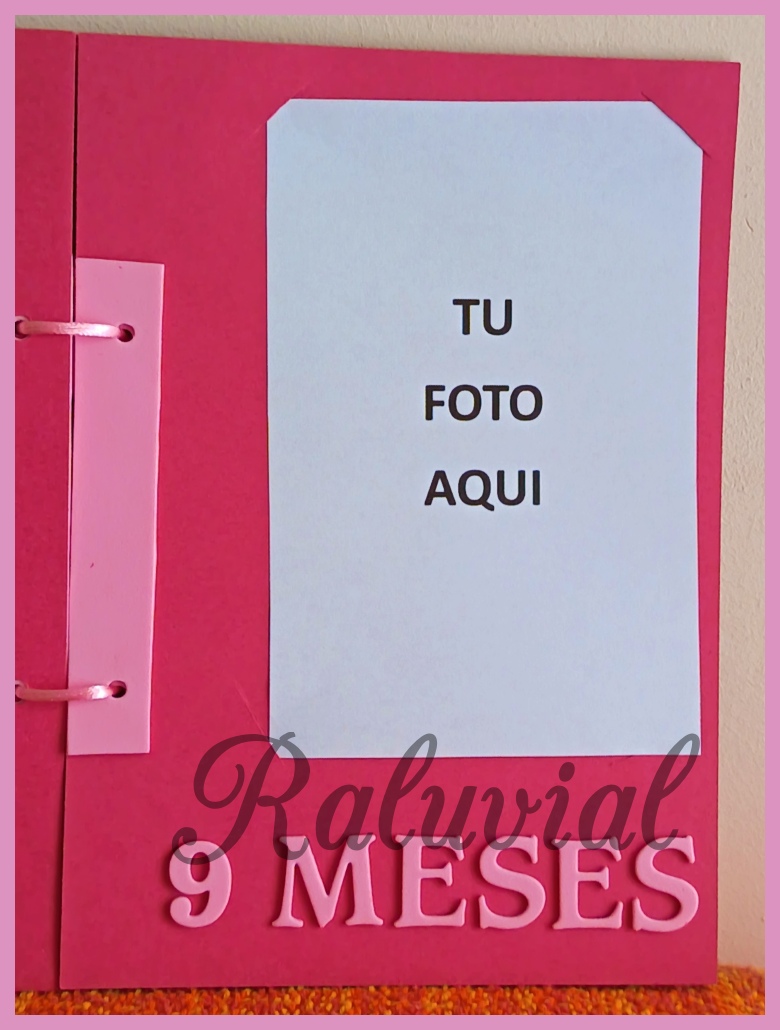 PAGINA 12 ALBUM GOMA EVA NACIMIENTO